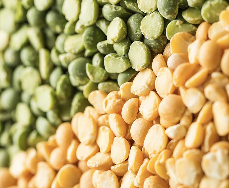 Split Yellow Peas/Yellow Peas（黄豌豆）/ Split green peas/Green Peas（绿豌豆）